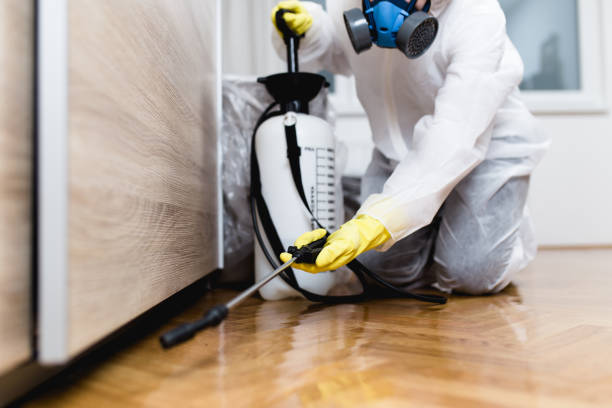 Best Best Pest Control Companies  in Carrollton, GA