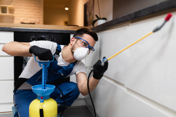 Best Termite Control Services  in Carrollton, GA