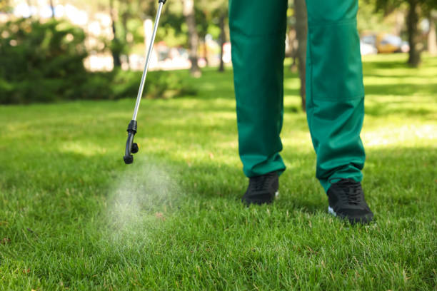Best Cockroach Control Services  in Carrollton, GA