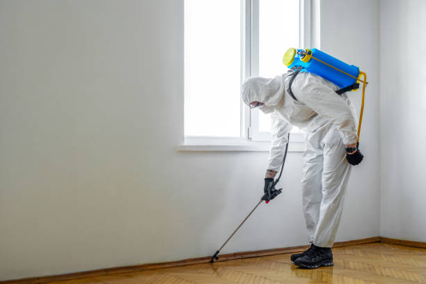 Best Flea Control Services  in Carrollton, GA