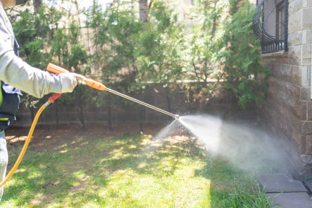 Insect Control in Carrollton, GA