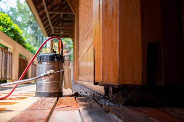 Best Best Pest Control Companies  in Carrollton, GA