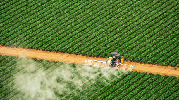 Best Pest Removal Services  in Carrollton, GA