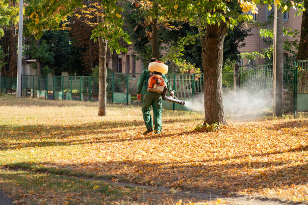 Best Bird Control  in Carrollton, GA