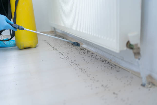 Best Pest Control Near Me  in Carrollton, GA